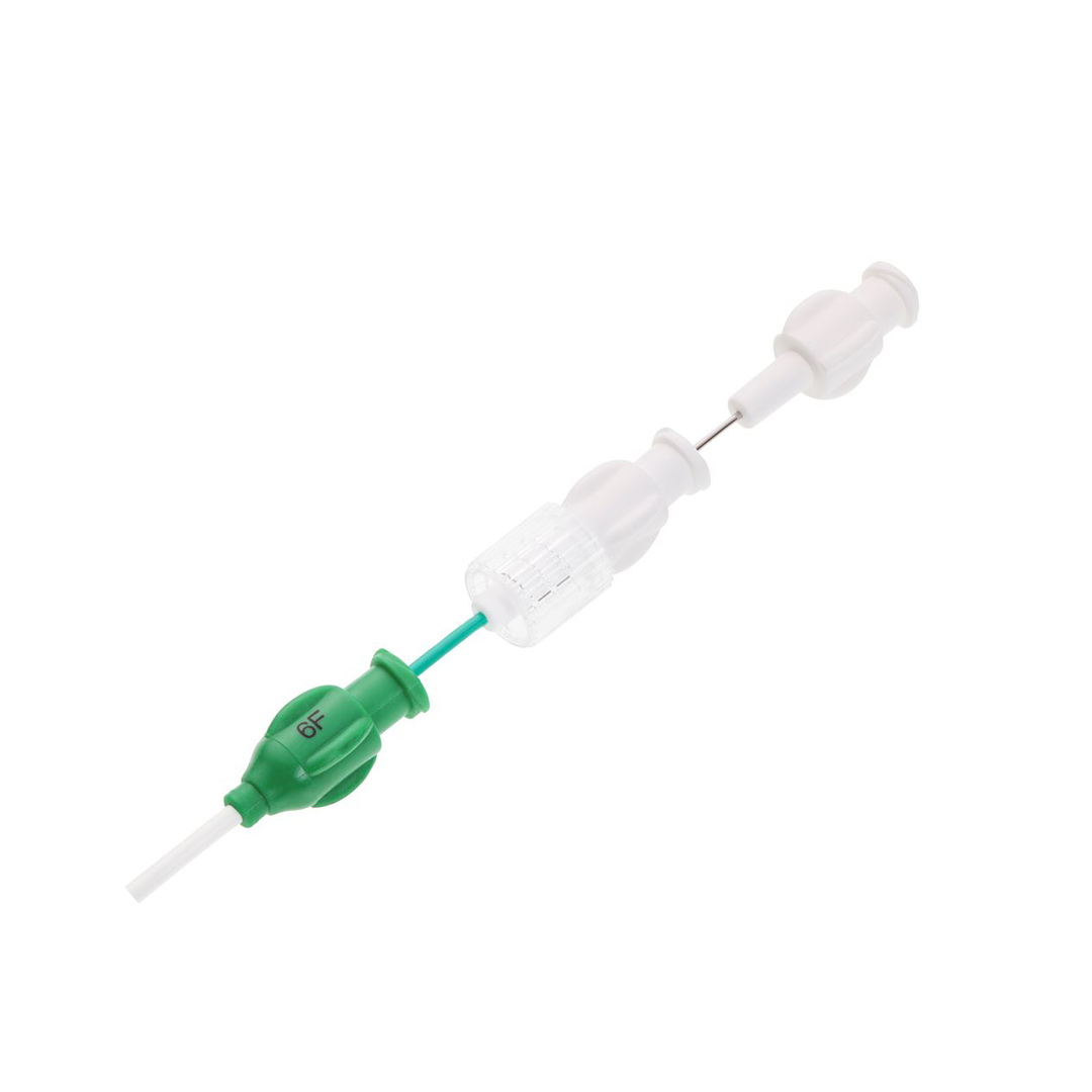Introducer System